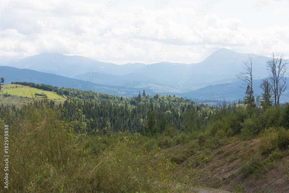 Obraz premium Mountains of the Carpathians