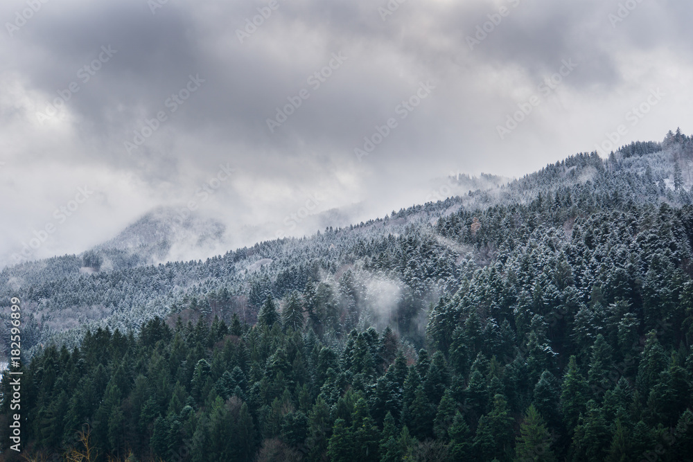 White clouds full of snow and mountains covered by trees in the black forest in winter