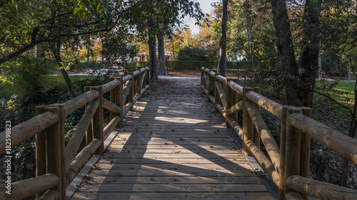 Wooden bridge in the Retiro park in the city of Madrid