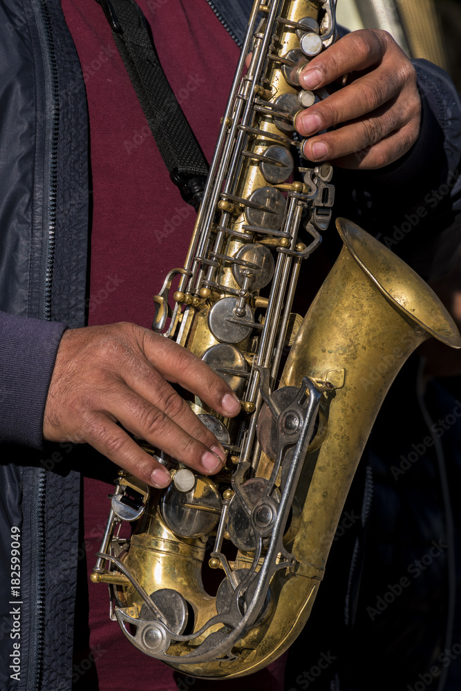 Obraz premium Playing the sax in the Retiro Park in the city of Madrid