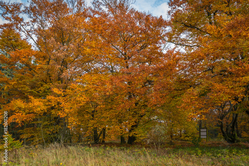 Nordhelle im Herbst © srffotodesign