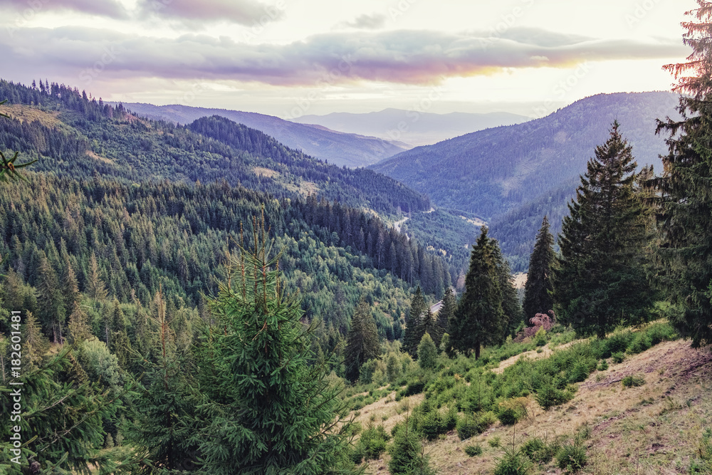 Autumn landscape in Romania. Distant mountain range and thin layer of fog on the valleys. Coniferous forest on hillsides in the Eastern Carpathians. Autumn landscape in Romania. Distant mountain range and thin layer of fog on the valleys. Coniferous forest on hillsides in the Eastern Carpathians.