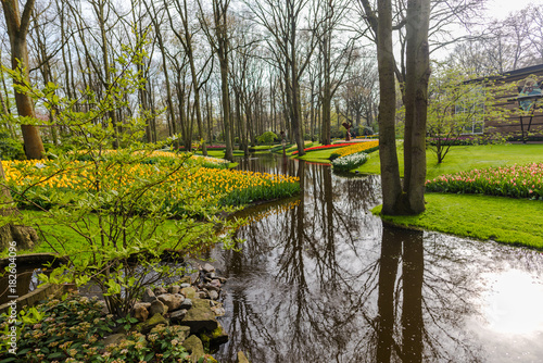 Park lake