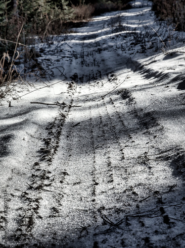 Icy tire tracks in a snowy forest