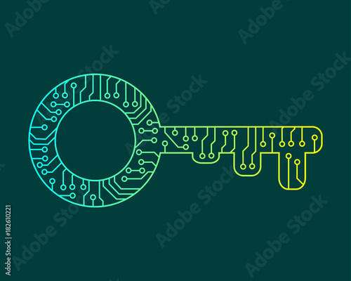 Abstract key to the door. Electronic circuit. Vector illustration