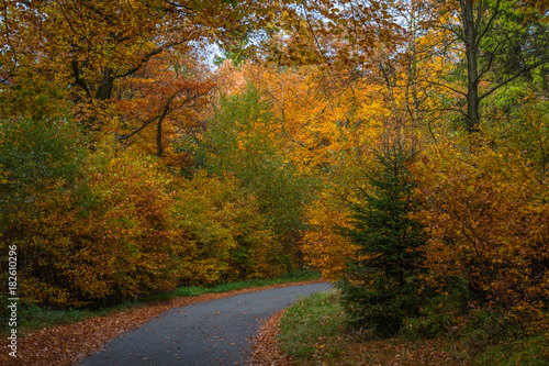 Nordhelle im Herbst © srffotodesign