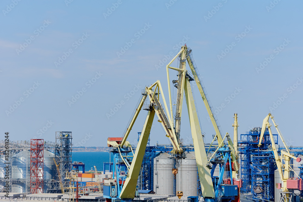 Modern cranes in seaport