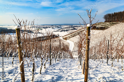 verschneite Weinberge photo