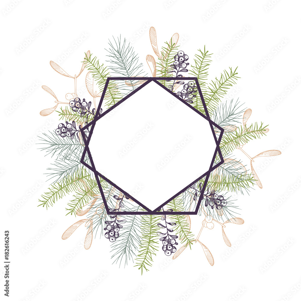 Vector frame with Christmas plants. Vector hand-drawn illustration.