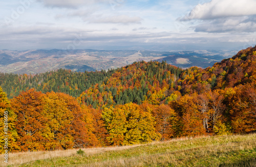 Yellow-orange colors of the autumn forest in the background of remote mountains. Autumn mountain landscape