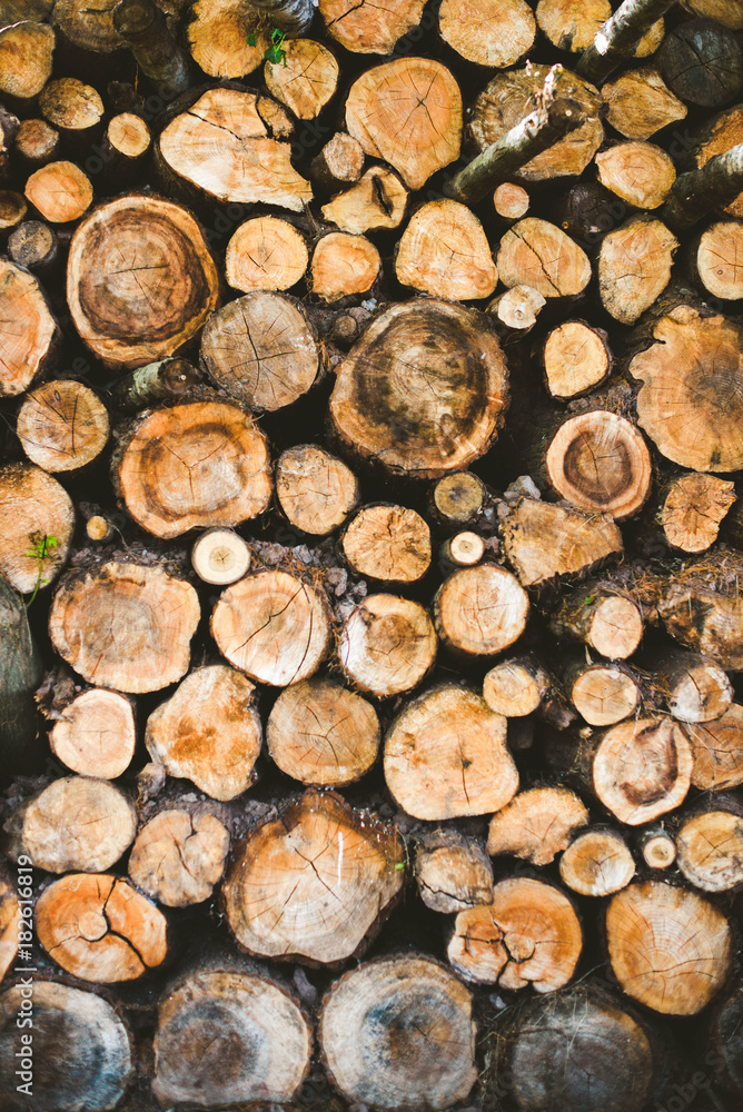 logs logs