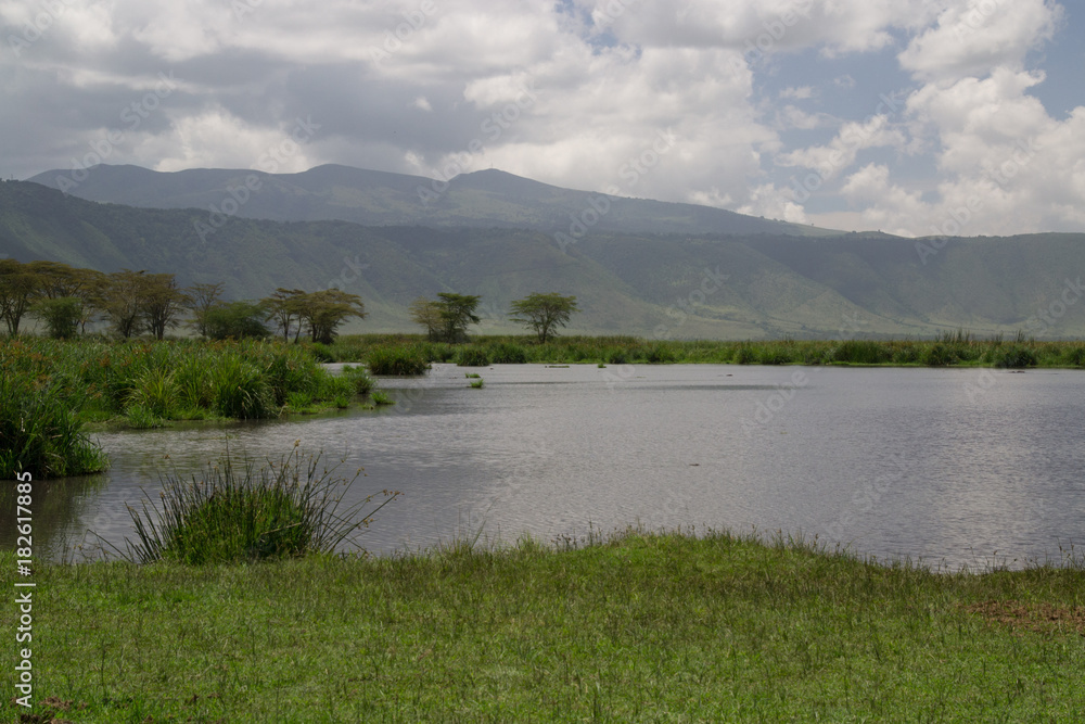 Fototapeta premium Ngorongoro Hippo Pool Panorama