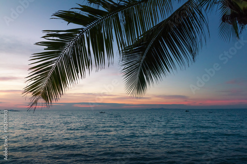 Coconut and sea in a twilight atmosphere.
