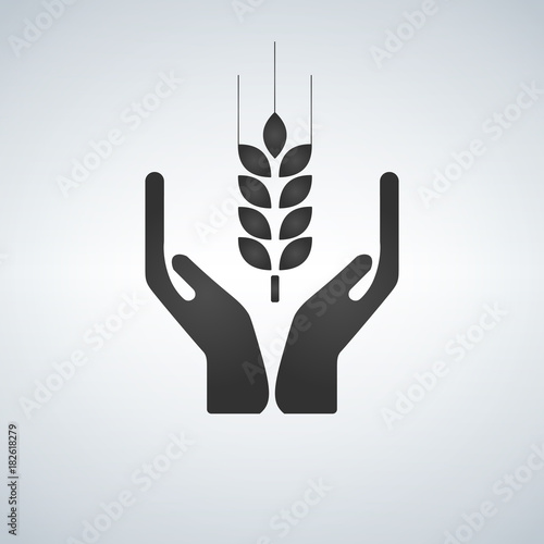 Hands holding a wheat plant icon