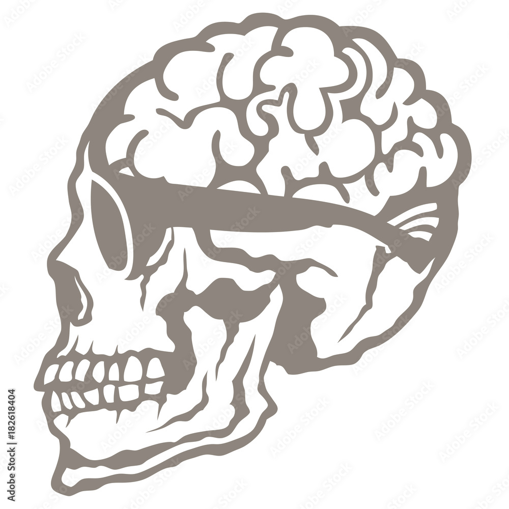Crâne hipster et cerveau avec lunette de soleil de profil Stock  Illustration | Adobe Stock