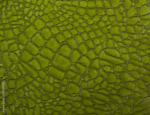 green crocodile skin texture close-up; reptile texture as background