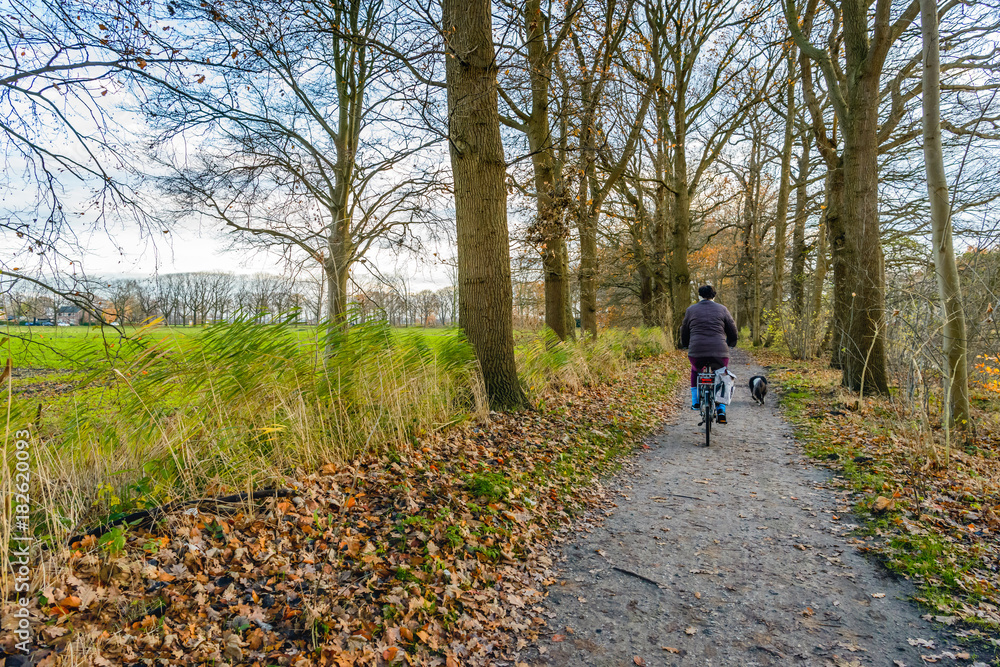 Obraz premium Biking the dog