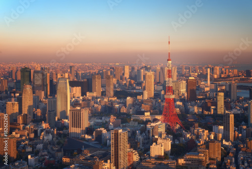 Photography Tokyo Skyline, Japan