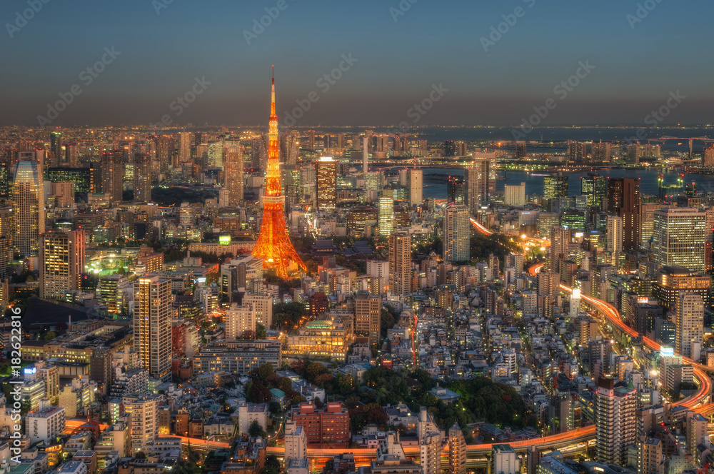 Tokyo Skyline, Japan