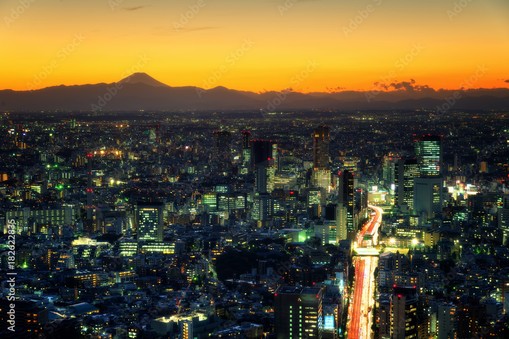 Fototapeta premium Tokyo Skyline, Japan