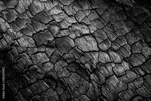 Burnt wood texture