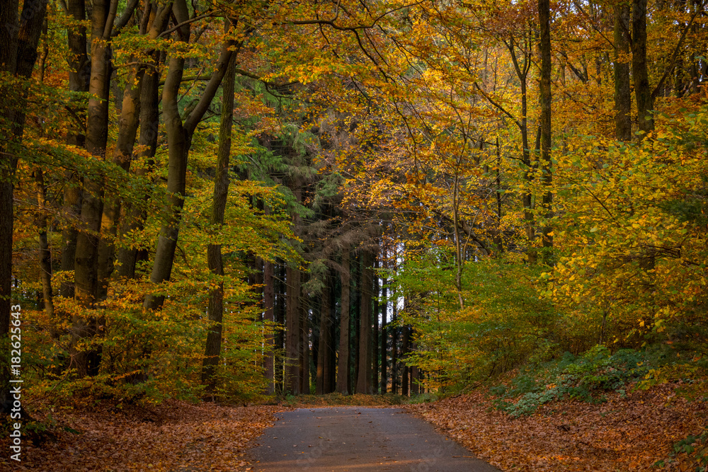 Fototapeta premium Herscheid im Herbst
