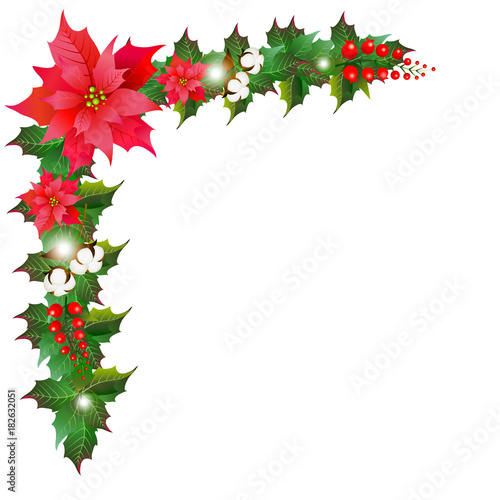 Christmas garland with poinsettia and cotton flowers, isolated on a white