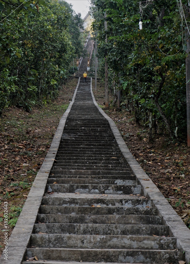 Stairs steps to a temple in Thailand in the woods