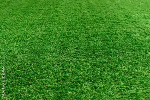 Tableau sur toile Artificial grass background