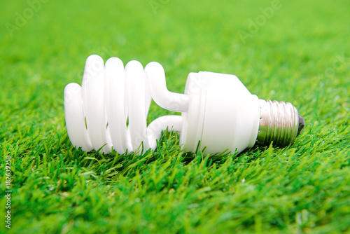 Energy efficient light bulb on green grass