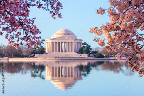 Leinwand Poster Beautiful early morning Jefferson Memorial with cherry blossoms