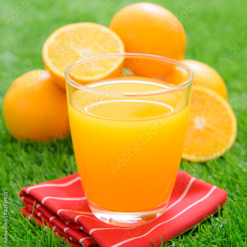 Glass of freshly pressed orange juice and slices of orange on green grass