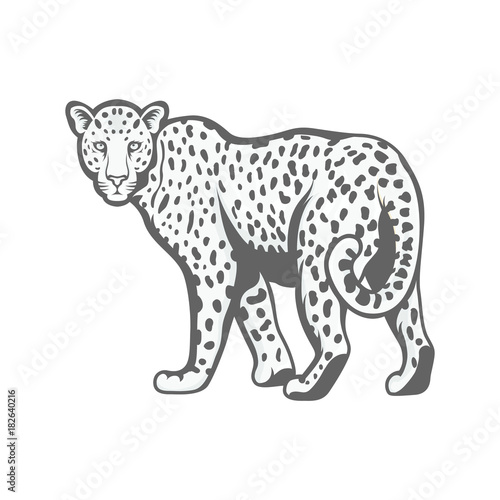 Leopard  mascot logo illustration vector