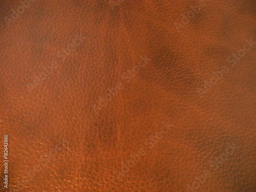 Wallpaper Mural Leather backgrounds Torontodigital.ca