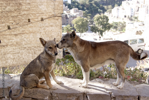 Yemen