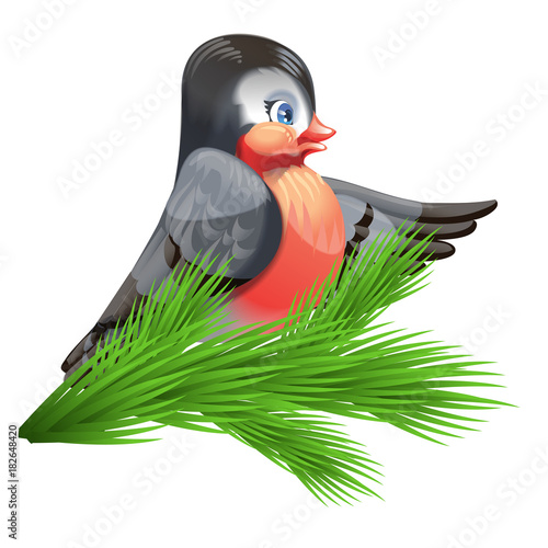 Vector image of a bullfinch on a spruce branch