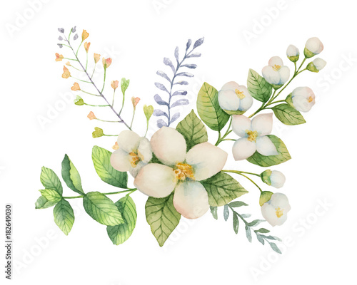 Watercolor vector bouquet of Jasmine and mint branches isolated on white background.