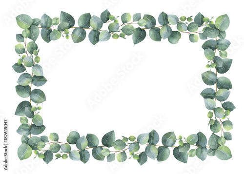 Watercolor hand painted vector rectangular frame with silver dollar eucalyptus.