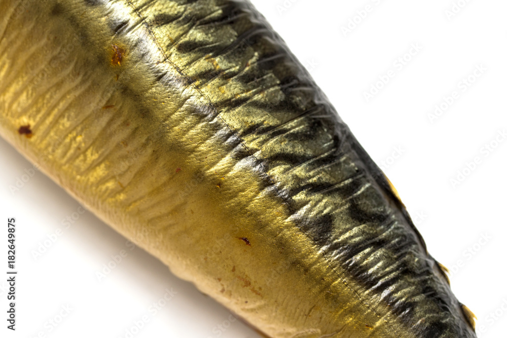 smoked fish mackerel isolated on white background smoked fish mackerel isolated on white background