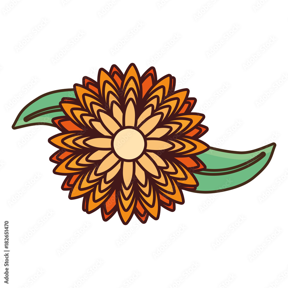 flower vector illustration flower vector illustration