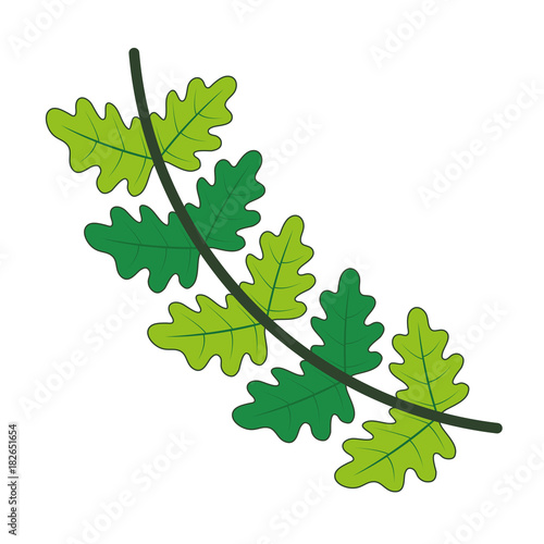 leaves vector illustration
