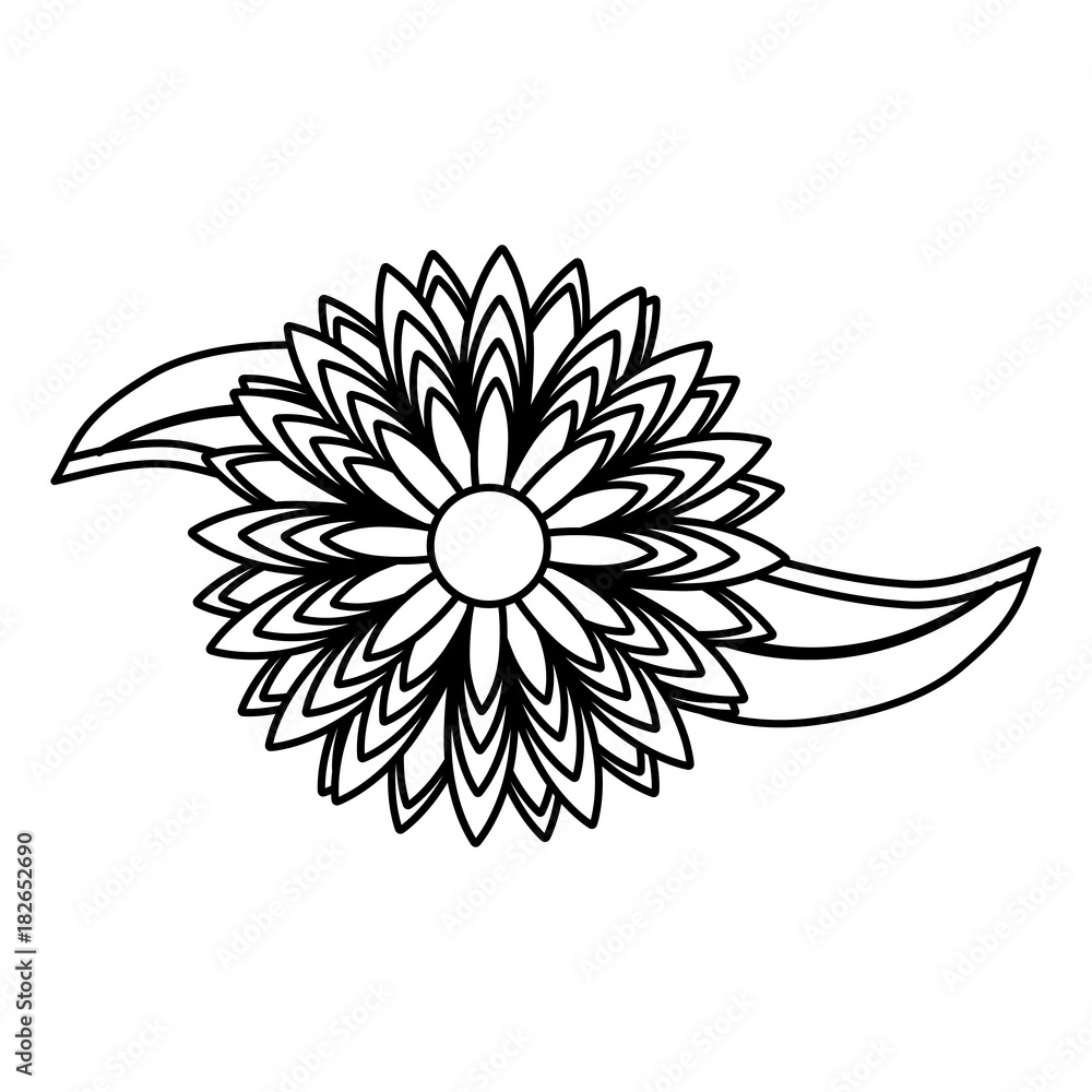 flower vector illustration