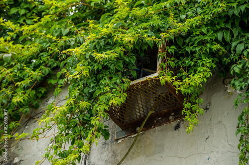 green covered air vent photo