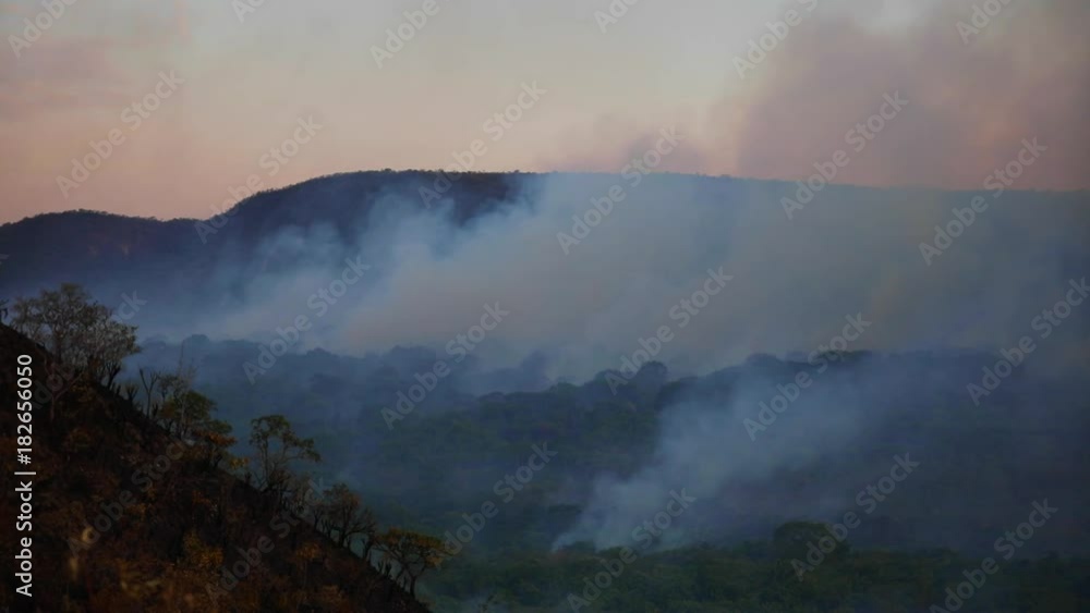 Wide angle shot of a forest fire Wide angle shot of a forest fire