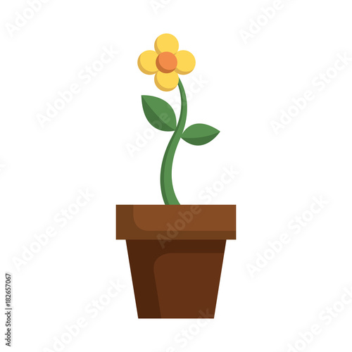 potted flower natural plant decoration vector illustration