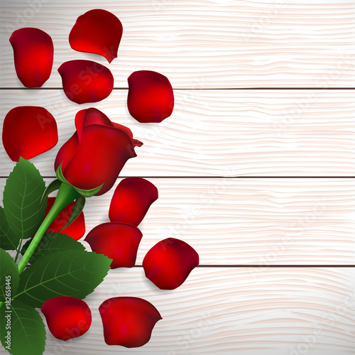 Red rose and rose petals on wooden background. Greeting card for Valentine's day, women's day, mother's day, birthday. Top view with space for your text. Vector illustration