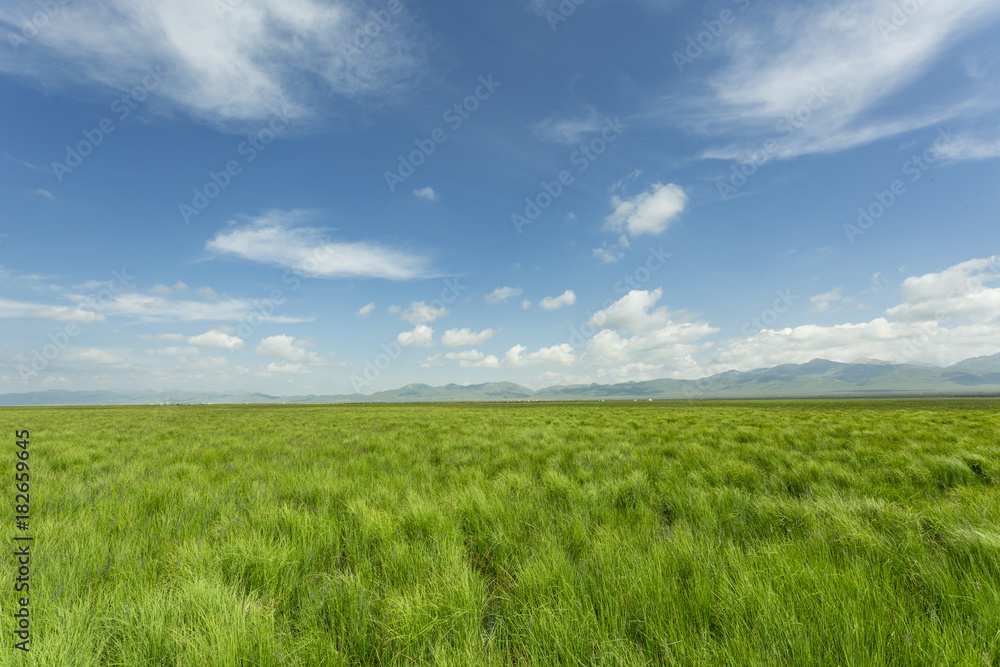Plateau lakes, blue sky, white clouds and wetlands Plateau lakes, blue sky, white clouds and wetlands