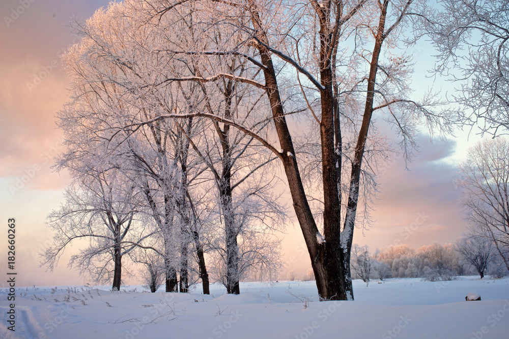 Fototapeta premium Snowy frozen landscape of sunrise on lakeside with trees 