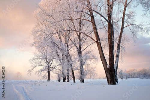 Snowy frozen landscape of sunrise on lakeside with trees     © photollurg