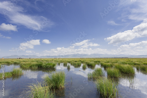 Plateau lakes, blue sky, white clouds and wetlands photo
